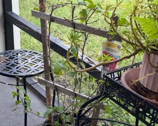 Wrought Iron Plant Stand, Trellis, and Bougainvillea Plant
