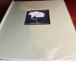 Pioneer Photo Albums Sage Green Fabric Frame Photo Album x