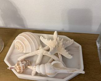 Decorative Seashell Collection on Hexagonal Tray