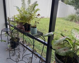Wrought Iron LeafDesign Tiered Plant Stand