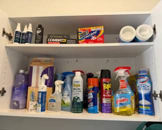 Assorted Household Cleaning Supplies Lot