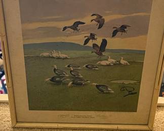 Lynn Bogue Hunt 'White Fronted Goose' Print