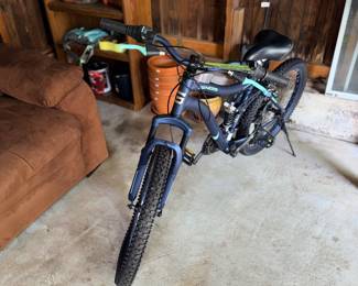 Items Located On The Back Garage