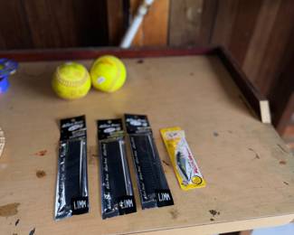 Items Located On The Back Garage
