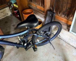 Items Located On The Back Garage