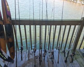 Various Rod & Reels