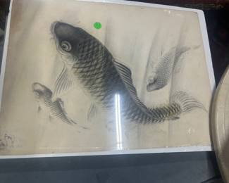 Coyfish