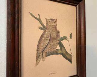 Le Petit Duc Owl Print - Vintage Ornithological Illustration