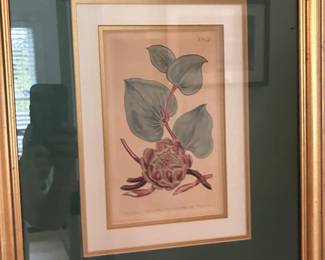 17. $100.00