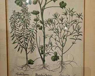 Beautiful Botanical!