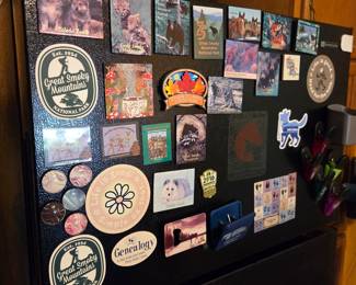 Collection of Assorted Souvenir Refrigerator Magnets