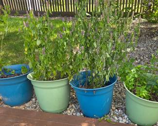 Assorted Plastic Garden Planters