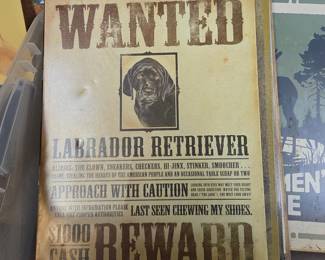 Labrador Retriever Wanted Poster Tin Sign