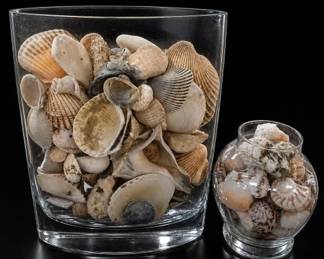 Shell-Filled Glass Vessel Collection