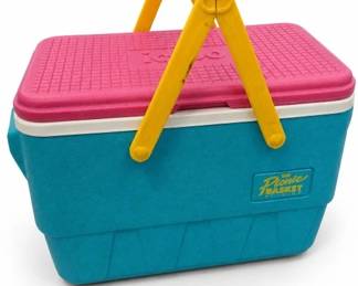Igloo Insulated Cooler