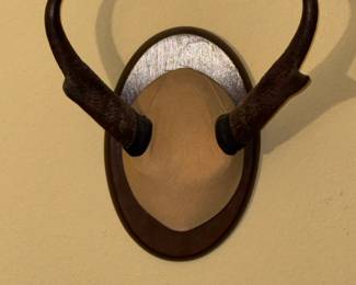 Antler hat rack