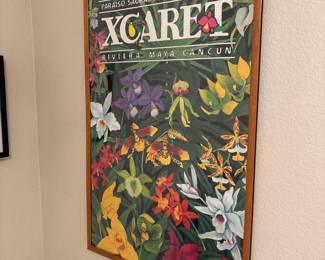 Colorful Nature Poster
