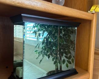 Mirrored Display Case