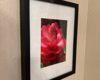 Red Flower Wall Art