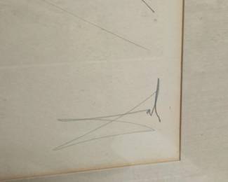 Salvador Dal, Don Quixote Lithograph third image