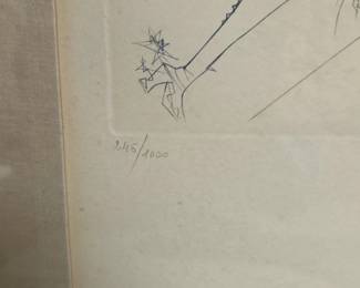 Salvador Dal, Don Quixote Lithograph second image