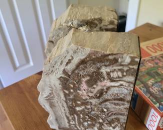 Set of Petrified Wood Bookends