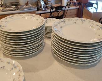 Large Set of Tressemanes & Vogt (T&V), Limoges, France, Dish Set,