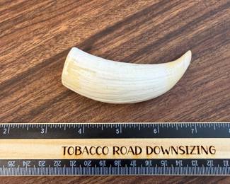 J194 - $50. Sperm Whale Tooth.
