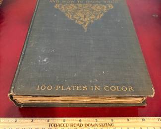 J32 - $100. Volume I & II. Beautiful Flowers and How to Grow Them - 100 Plates in Color. Wright & Wright. Dodge Publishing Company.