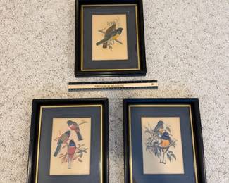 J126 - $85. Set of 3 J. Gould Bird Prints. Each Measures 9.5" W x 11.5" Tall.