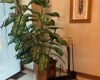 Plants