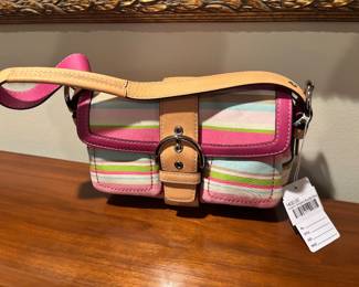 Coach Striped Buckle Bag