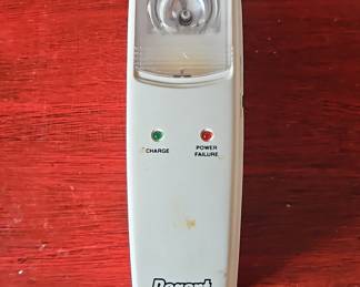 Regent Lighting HS2PC Power Failure Light