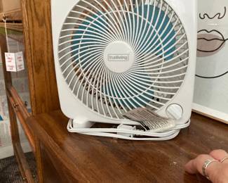 Trueliving Box Fan