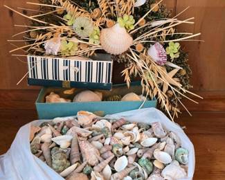 294 assorteddecorativeseashellsandbeach
