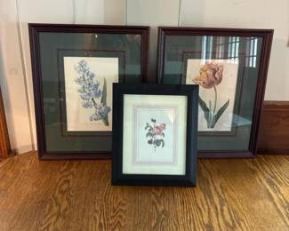 516 trioofframedfloralbotanicalprints