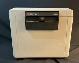 Sentry Safe