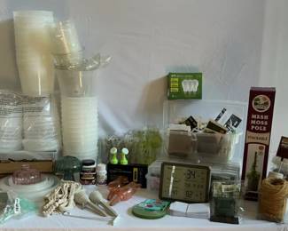 Propagating, Seeds Indoor Watering