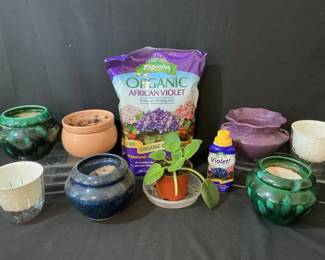 African Violet, Pots, Care