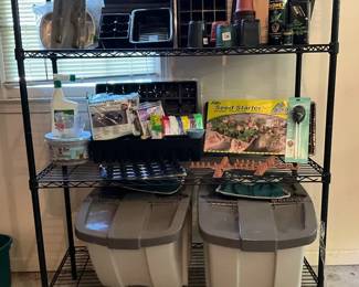Seed Starter On A Shelf