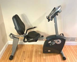 Schwinn 213 Exercise Bike