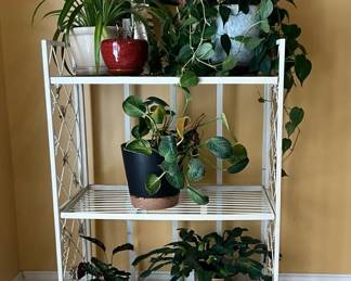 Wire Plant Rack Plus