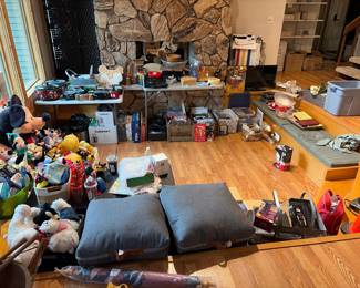 Disney merchandise, floor cushions, crock pots, chafing dishes, induction cooker