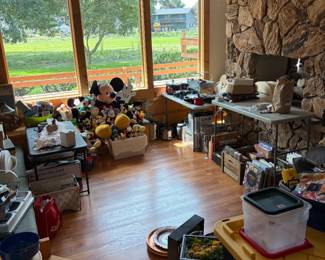 Disney and Mickey items
