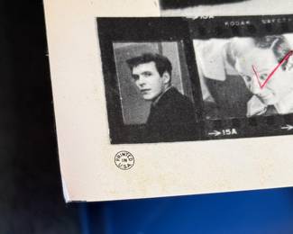 Beatles White Album poster insert 