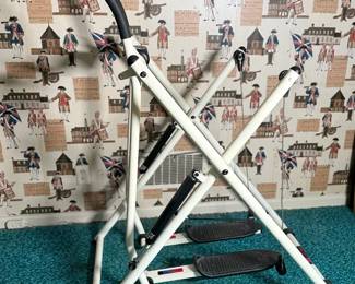 Gazelle FreestylePacer Elliptical Glider