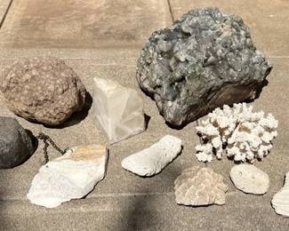 XL Smoky Quartz, Rocks, And Fossilized Coral