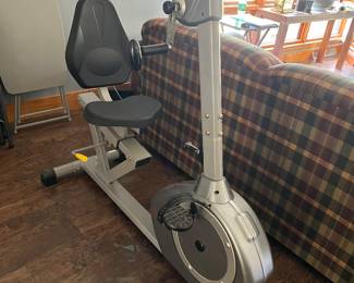 Sunny exercise bike