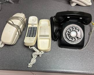 Rotary Phone and Princess Phones -Remember 