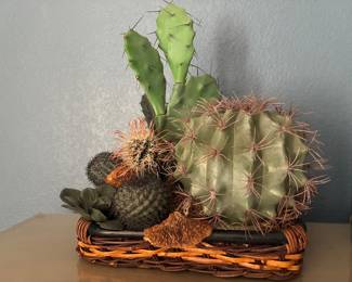 Artificial cactus plants in tray basket